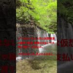 想定外、6月はやられた😭#仮想通貨 #ビットコイン #無職 #無収入