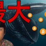 ビットコイン急落でも今年最大の蓄積！6月に最高値更新か？