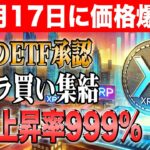 【リップル最新情報】6月17日が運命の日！XRP1500円到達の3大カタリストを徹底解説！【リップル】【シバコイン】【イーサリアム】【ビットコイン】【XRP】【SHIB】【DOGE】【Solaxy】