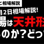 【6月2日のゆるっと相場解説】日本株相場は天井形成するのか？直近の株価の動きは？ズボラ株投資