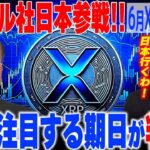 6月X日爆上げ確定⁉️リップルが日本参戦‼️ #リップル #仮想通貨 #ビットコイン #xrp