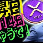 🔥速報🔥リップルの価格上昇日は7月14日ではなく6月◯日に決まってました！