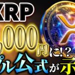 🔥リップル🔥近い将来,仮想通貨市場はBTCではなく、XRPによって動かされます…#xrp #リップル #暗号通貨 #仮想通貨 #crypto