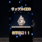 リップルCEOが衝撃発言‼️ #リップル #仮想通貨 #ビットコイン #shorts
