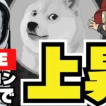 【LIVE】DOGEがようやく上昇！今日のメタプラは？仮想通貨がおもしろい！