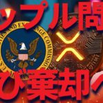 リップルまたもSECと決着せず！！XRP300円割るのか・・・
