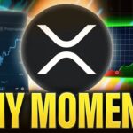 Why Ripple XRP Could SKYROCKET At Any Moment In 2025