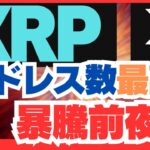 XRPアクティブアドレス数最高‼暴騰前夜⁉
