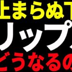 リップル（XRP）の下落が止まらない！今後どうなる⁉最新分析を共有！【仮想通貨】