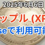 リップル (XRP) 一時300円を割る下落！XRPがBaseで利用可能に！トランプとイーロン大喧嘩勃発！