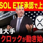 【XRP SOL最新】価格上昇目前かもしれません… #リップル #ソラナ #仮想通貨 #xrp