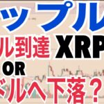 リップル（XRP）1.2ドルへ下落？OR10ドル到達か！？イーサリアムETF流出へ！？ソラナ120ドルまで下落！？