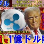 リップル（XRP)を1億ドル購入で爆上げ⁉BitGoがXRPに革命を起こす！Xチャットで暗号資産が活気づく！BTC、ETHの成長が止まらない！