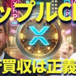 【XRP】また300円に！リップルCEO強行買収は正義か？