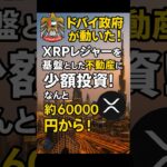 【初心者必見】ドバイ政府が動いた！XRPレジャーを基盤とした不動産に少額投資！なんと6万弱から！#XRP #リップル #仮想通貨初心