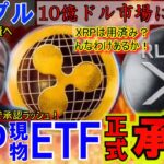 リップル（XRP)現物ETFが正式承認！RLUSDとタッグでXRPは跳ね上がる！暗号資産が投機から投資へ変わる！凄いことになってきた！