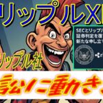 【リップルXRP】Ripple社 vs SEC、世紀の和解なるか！？訴訟で動き！