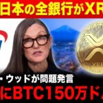 【リップル速報】年内に日本の全銀行がXRPを導入🔥SBIグループが発表しました【仮想通貨 最新 情報】
