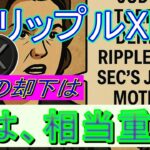 最新【リップルXRP】相当重かった！。今回のトーレス判事のSECとリップル社の共同申し立て却下！その理由とは。