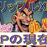 【リップルXRP】最新のXRPの今！初心者向け。中級者も見れる内容です！