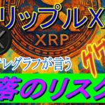 最新【リップルXRP】夢か、現実か——XRPの未来をどう読み解くかは、あなた次第です。