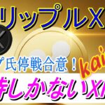 最新【リップルXRP】次回、半減期のリップルXRPの価格！？（笑）期待しかない！