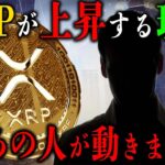 【XRP】遂に来るかXRPのブル相場‼️ #リップル #仮想通貨 #ビットコイン #xrp