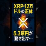 【XRPリップル】XRP＝12万ドル⁉　＃XRP＃リップル＃仮想通貨＃クリプト