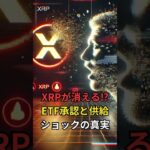 【XRPリップル】XRPが消える！？ETF承認と供給ショックの真実　　＃XRP＃リップル＃仮想通貨＃クリプト