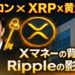 【XRPリップル】イーロン・マスクが密かに仕込んでいた⁉「Xマネー×Ripple×黄金の鍵」の全貌！