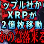 『リップル暴落危機？』正式発表無しの大量XRP送金。真相とは。#xrp #仮想通貨 #リップル #暗号資産
