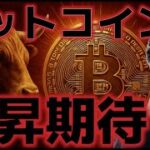 ビットコイン機関投資家の買い支えで上昇できるか！？１４万ドルを突破する可能性がある！！