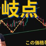 ビットコインは分岐点！？この価格帯が重要！