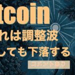 ビットコインこの上昇は調整波だから落ちる