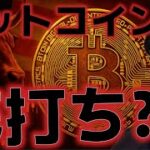 ビットコイン底打ちした！？機関投資家の関心がさらに高まる！！