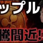 リップルの爆上げが近い！？８７０円に到達するのか！？ビットコイン売却圧力が減少傾向に！！