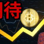仮想通貨ビットコイン買い増し続く！最高値更新へ期待！