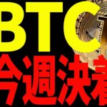 ⚠️絶対見て⚠️ビットコイン今週遂に決着⁉︎今後意識すべき価格を全て教えます！【仮想通貨】