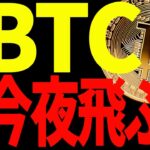 【仮想通貨】ビットコイン今夜飛ぶ⁉︎今後必ず意織すべきポイントを教えます！