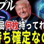 『リップル激震』結論何枚保有すればいいのか。と”新”上昇予定日お伝えします。#xrp #仮想通貨 #リップル #暗号資産