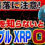 100XRP(リップル)50000円を500万円にしたい人は見てください。