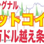【ビットコイン】11万ドルを超える条件⚫️⚫️複数要因ヤバい！？