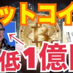 【ビットコイン】最低で1億円！？強気シナリオ2億越え！？2030年まで100万ドル！？仮想通貨投資に最大40%ポートフォリオ推奨！？