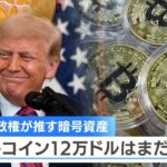 トランプ政権が推す暗号資産 ビットコイン12万ドルはまだ安い？【NIKKEI NEWS NEXT】