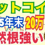 【ビットコイン】2025年末20万ドル到達予測「依然根強い」！？夏の調整リスク警告！？
