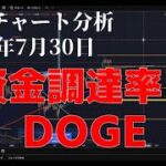 2025年7月30日ビットコイン相場分析