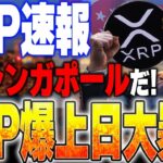 【リップル速報❗️】最大2,900万円支援プログラム⁉️XRP爆上日が遂に来る❗️