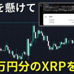 人生を懸けて400万円分のXRPを購入しました