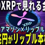 リップル最強!!450兆円の資金流入でXRPが覇権を握るの確定だってさ