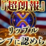 ㊗️リップルをトランプが認め、世界のトップ5の通貨に選ばれました。